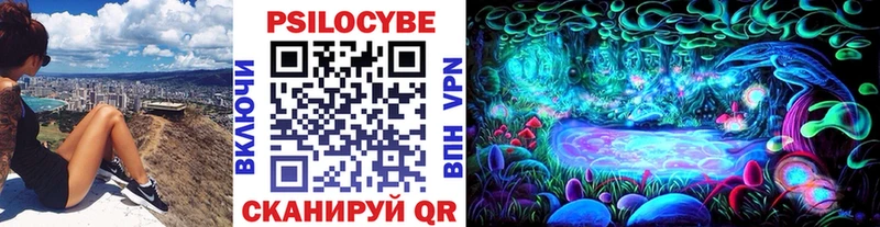 Галлюциногенные грибы Psilocybine cubensis  закладки  Лысково 